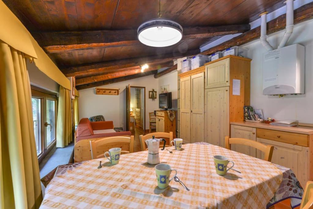 38-Volpini House In Amiata - Val D'Orcia, Saturnia, Feste&Sagre Кастел дел Пиано Екстериор снимка